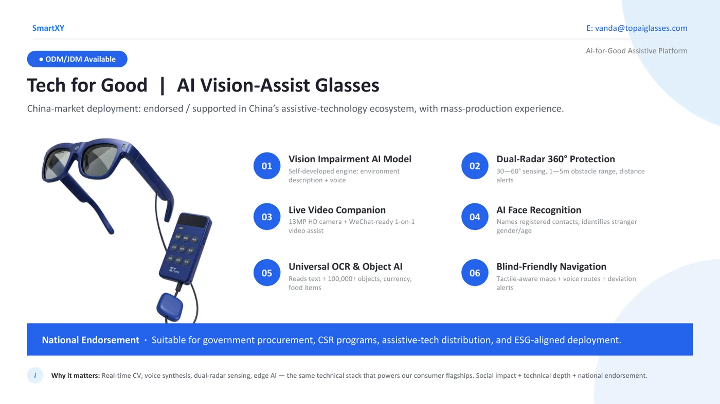 AI vision assist glasses